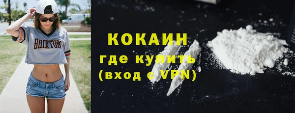 спайс Гусев