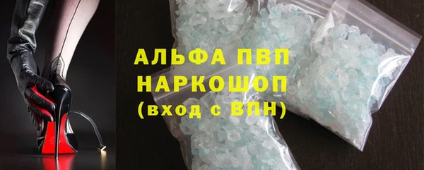 спайс Гусев