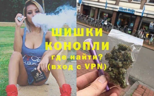 спайс Гусев