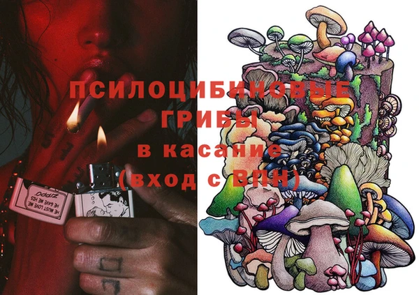 спайс Гусев