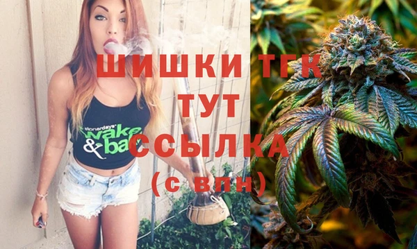 спайс Гусев