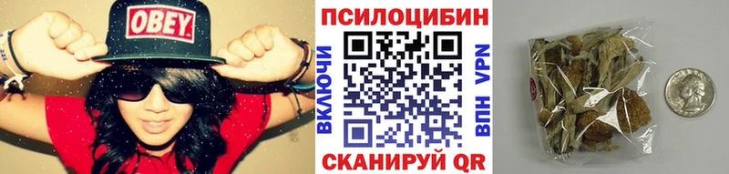 цены наркотик  Шарыпово  Псилоцибиновые грибы мухоморы 