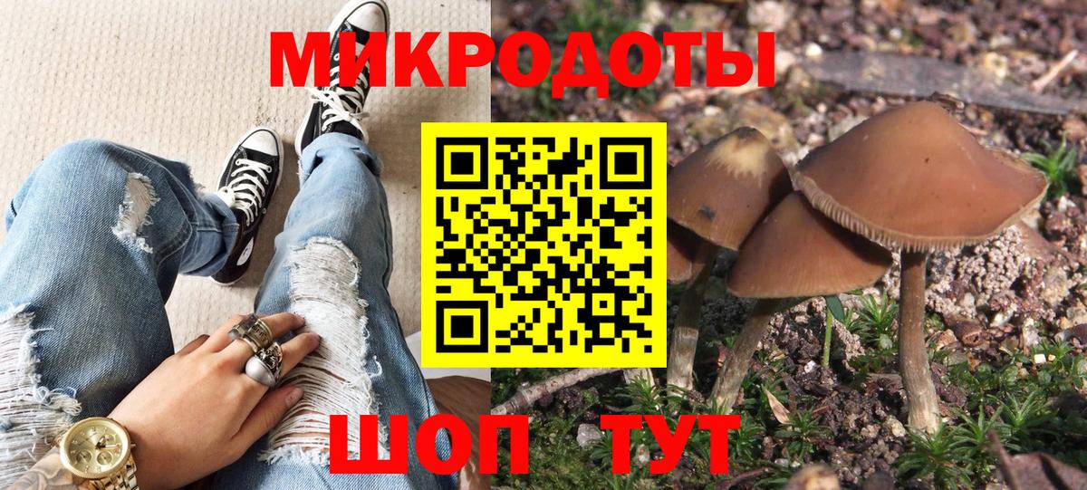 Псилоцибиновые грибы Psilocybe Шарыпово