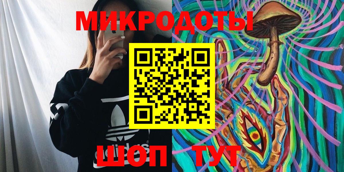 Псилоцибиновые грибы Psilocybe Шарыпово