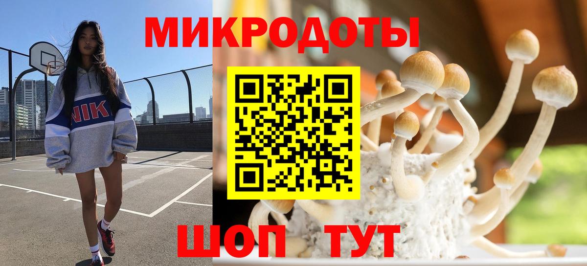 Псилоцибиновые грибы Psilocybe  Вход с VPN  Шарыпово 