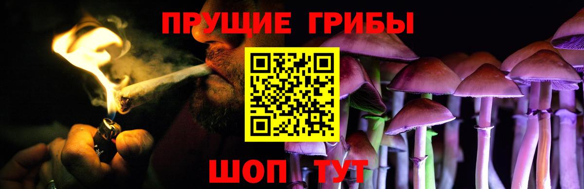 Псилоцибиновые грибы Psilocybe  купить  сайты  Шарыпово  Вход с VPN 